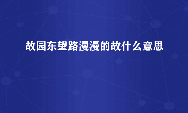 故园东望路漫漫的故什么意思