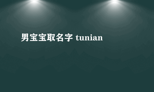 男宝宝取名字 tunian