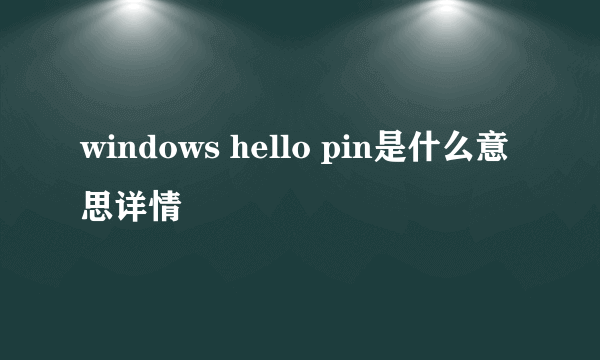 windows hello pin是什么意思详情