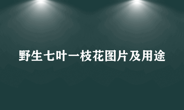 野生七叶一枝花图片及用途