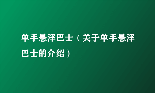 单手悬浮巴士（关于单手悬浮巴士的介绍）