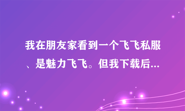 我在朋友家看到一个飞飞私服、是魅力飞飞。但我下载后又不是，，那个是叫什么爽歪歪