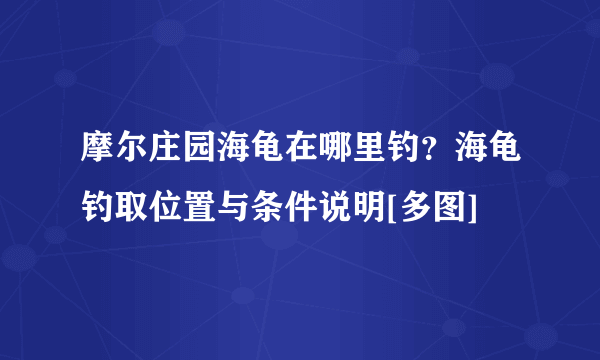 摩尔庄园海龟在哪里钓？海龟钓取位置与条件说明[多图]