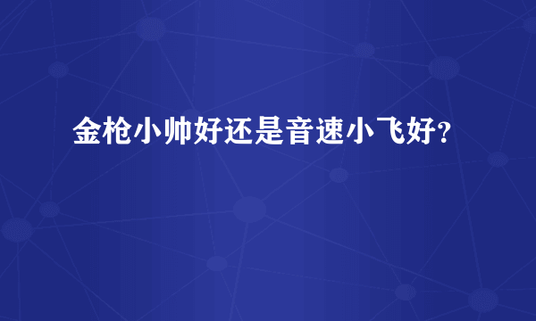 金枪小帅好还是音速小飞好？