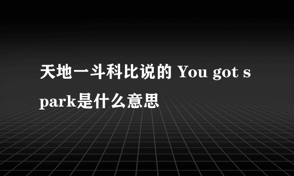 天地一斗科比说的 You got spark是什么意思