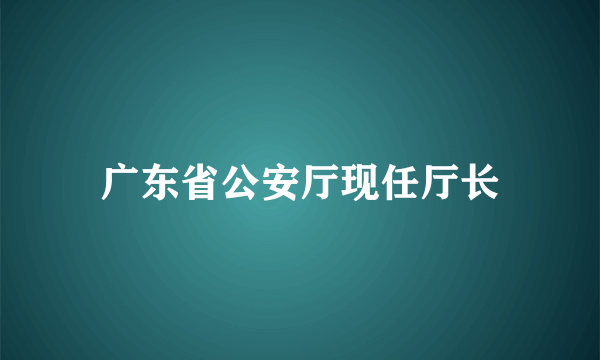 广东省公安厅现任厅长