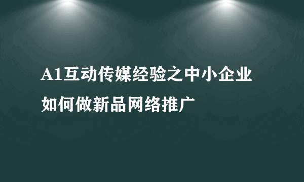 A1互动传媒经验之中小企业如何做新品网络推广