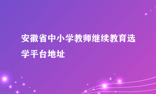 安徽省中小学教师继续教育选学平台地址