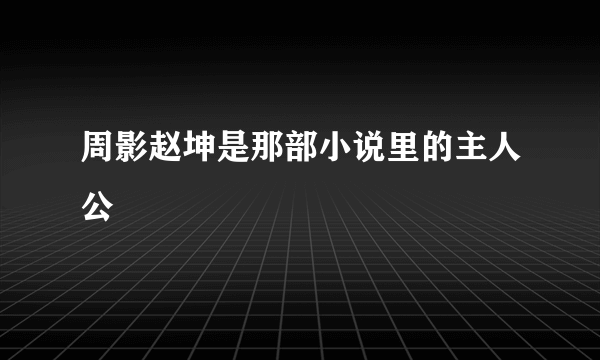 周影赵坤是那部小说里的主人公