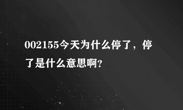 002155今天为什么停了，停了是什么意思啊？