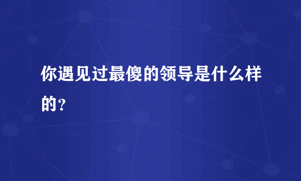 你遇见过最傻的领导是什么样的？