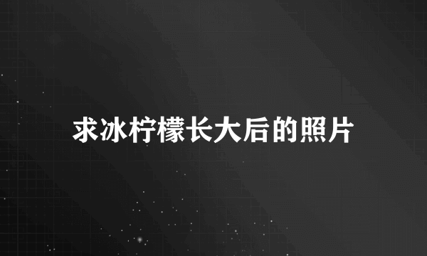 求冰柠檬长大后的照片