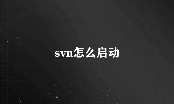 svn怎么启动