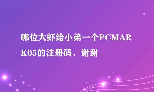 哪位大虾给小弟一个PCMARK05的注册码，谢谢