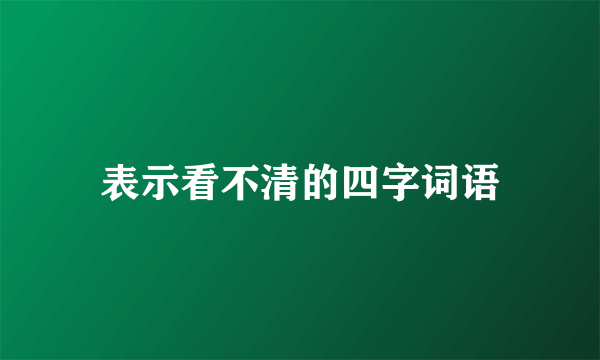 表示看不清的四字词语