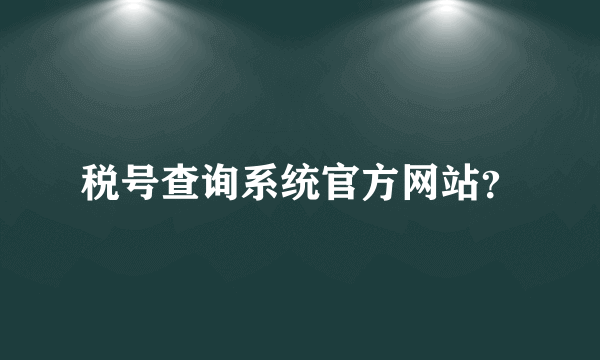 税号查询系统官方网站？