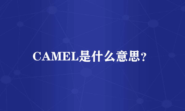 CAMEL是什么意思？