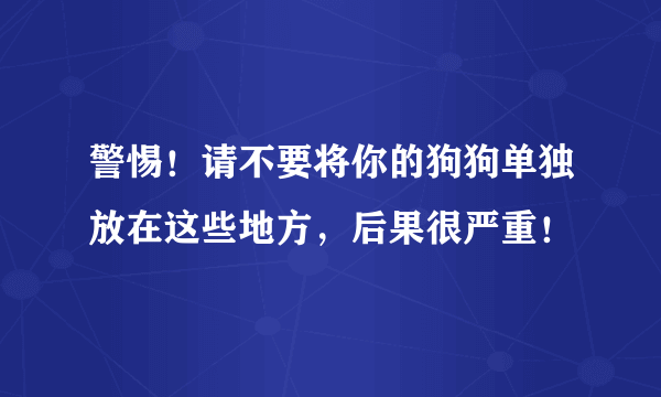 警惕！请不要将你的狗狗单独放在这些地方，后果很严重！