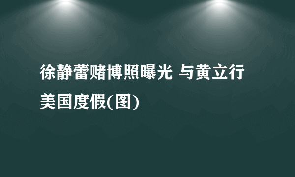 徐静蕾赌博照曝光 与黄立行美国度假(图)