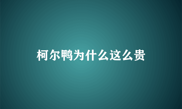 柯尔鸭为什么这么贵