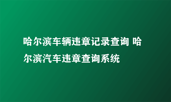 哈尔滨车辆违章记录查询 哈尔滨汽车违章查询系统