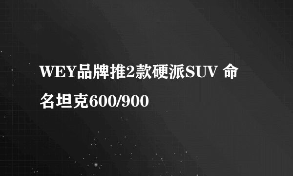 WEY品牌推2款硬派SUV 命名坦克600/900