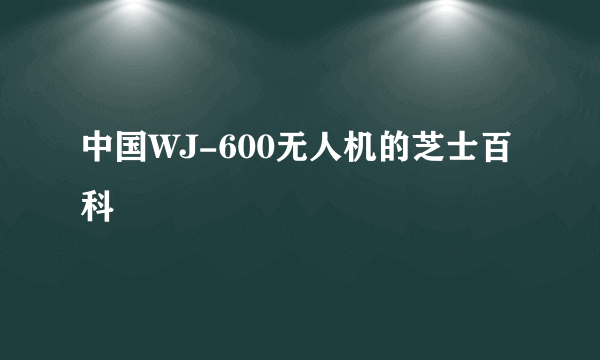 中国WJ-600无人机的芝士百科