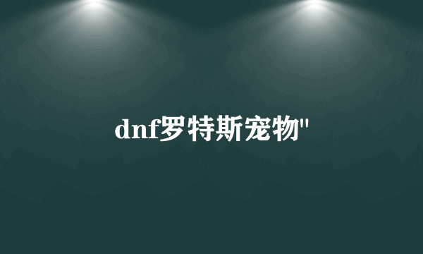 dnf罗特斯宠物