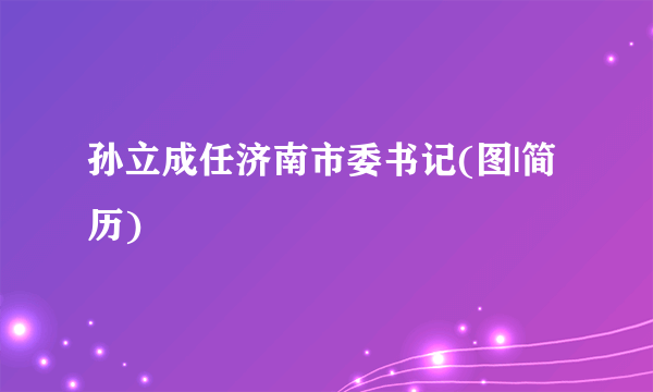 孙立成任济南市委书记(图|简历)