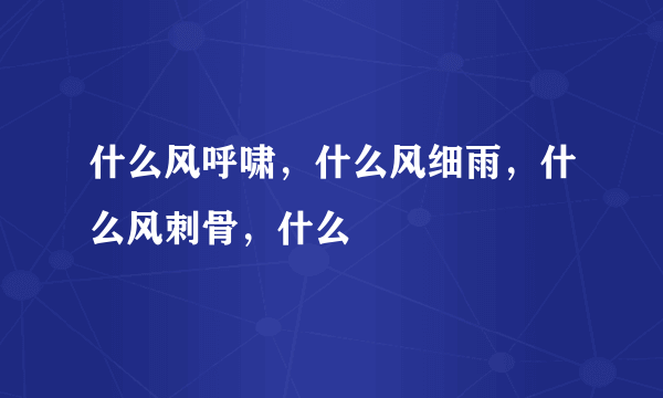 什么风呼啸，什么风细雨，什么风刺骨，什么