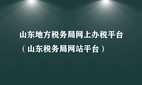 山东地方税务局网上办税平台（山东税务局网站平台）