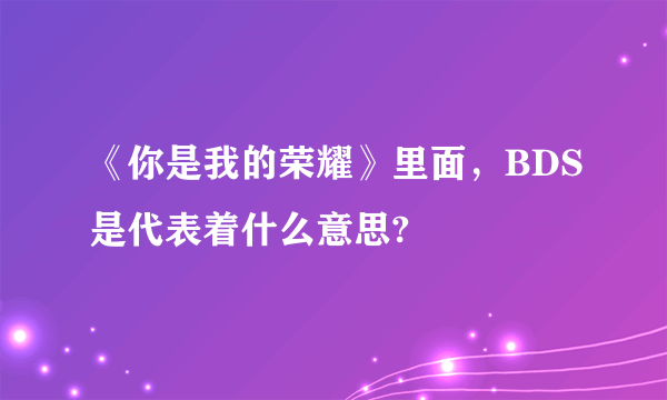 《你是我的荣耀》里面，BDS是代表着什么意思?