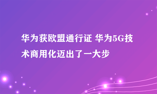 华为获欧盟通行证 华为5G技术商用化迈出了一大步