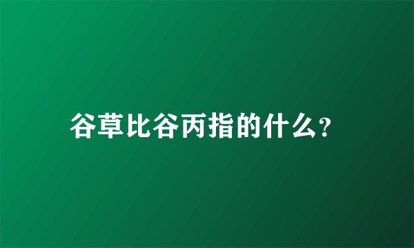 谷草比谷丙指的什么？