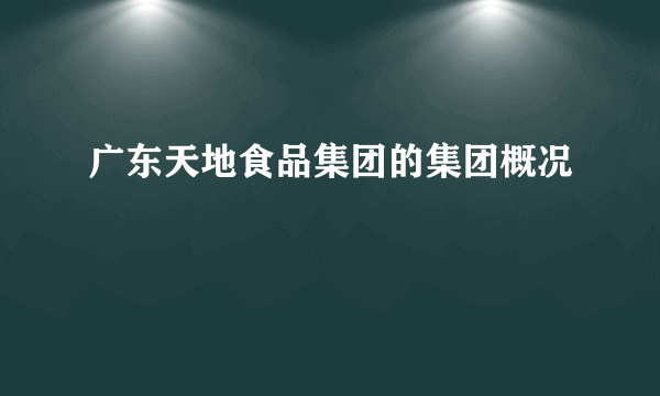 广东天地食品集团的集团概况