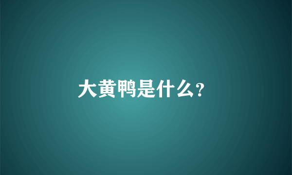 大黄鸭是什么？