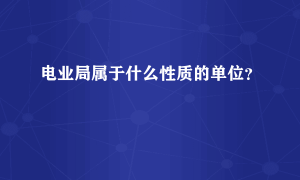 电业局属于什么性质的单位？