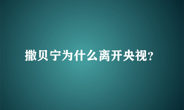 撒贝宁为什么离开央视？