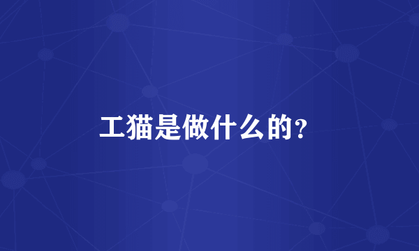 工猫是做什么的？