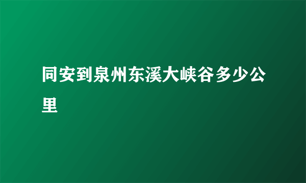 同安到泉州东溪大峡谷多少公里