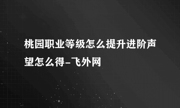 桃园职业等级怎么提升进阶声望怎么得-飞外网