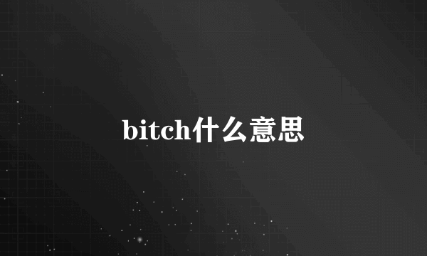 bitch什么意思