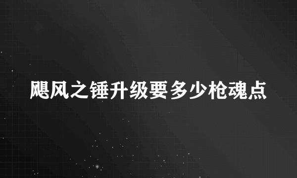 飓风之锤升级要多少枪魂点