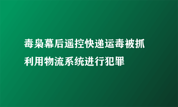 毒枭幕后遥控快递运毒被抓 利用物流系统进行犯罪