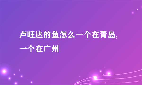 卢旺达的鱼怎么一个在青岛,一个在广州