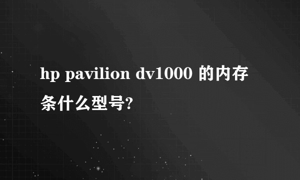 hp pavilion dv1000 的内存条什么型号?