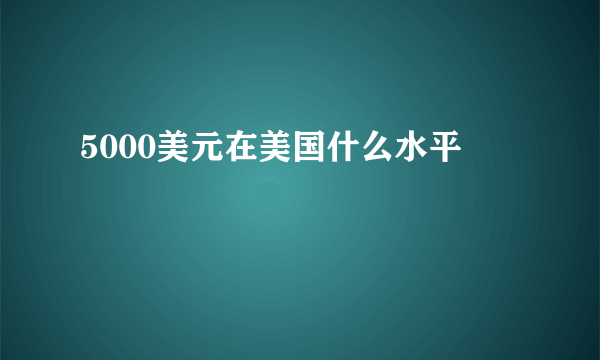 5000美元在美国什么水平