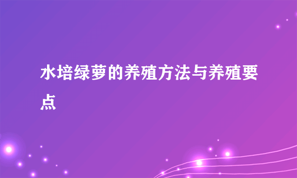 水培绿萝的养殖方法与养殖要点