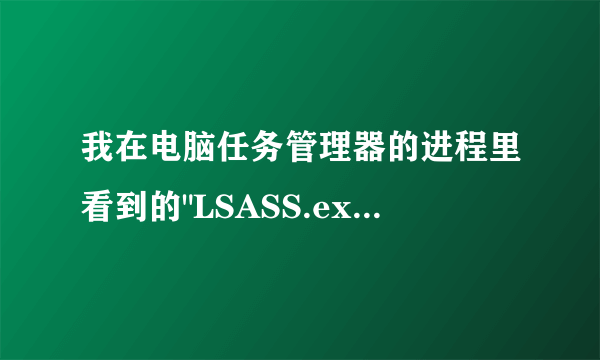 我在电脑任务管理器的进程里看到的