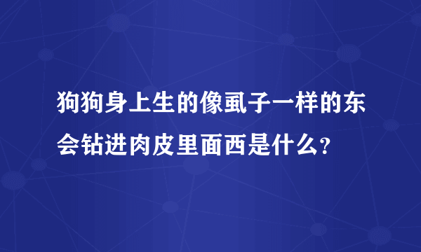 狗狗身上生的像虱子一样的东会钻进肉皮里面西是什么？